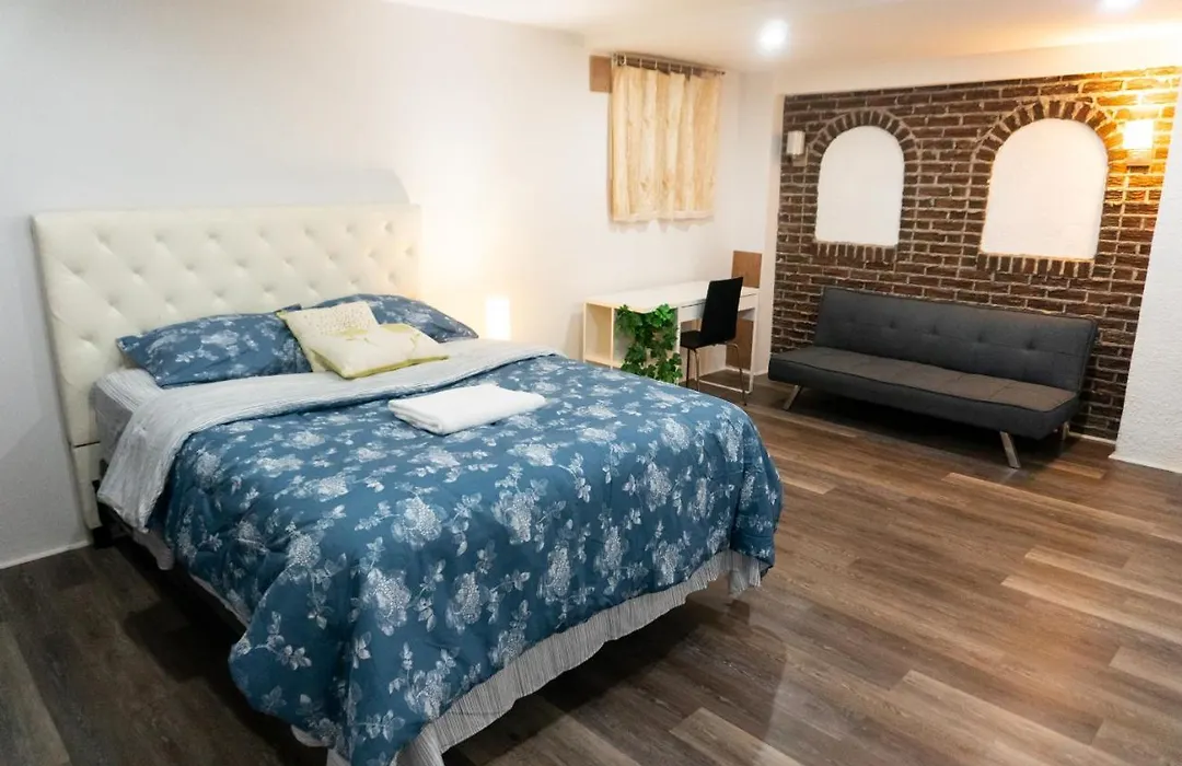 Newly Renovated Studio, Separate Entrance-1