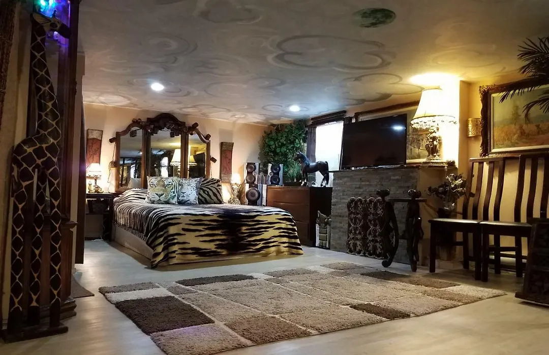Exotic Large Basement Studio-1