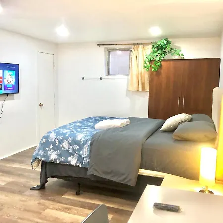 Newly Renovated Studio, Separate Entrance-2