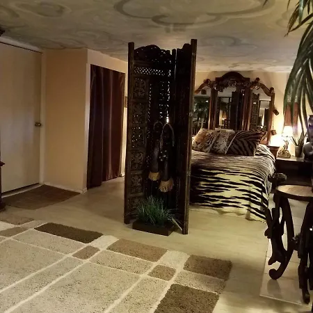 Exotic Large Basement Studio-2