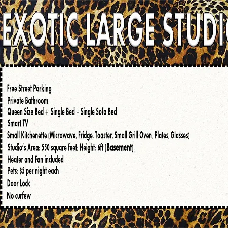 Exotic Large Basement Studio-3